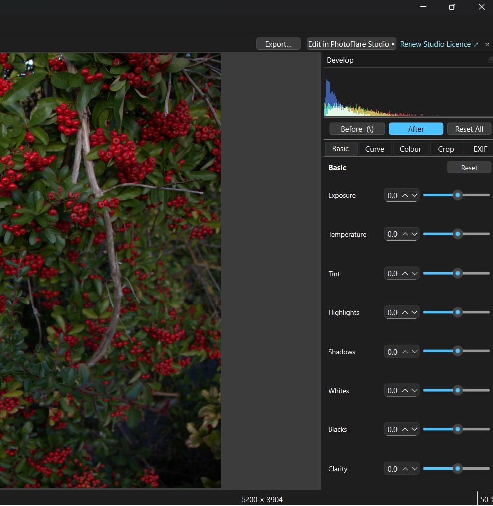 PhotoFlare Lens develop panel with histogram, basic sliders, and tone curve editor open on a landscape RAW file